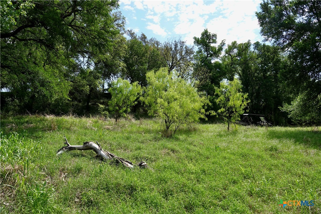588 County Road 430 Property Photo 15