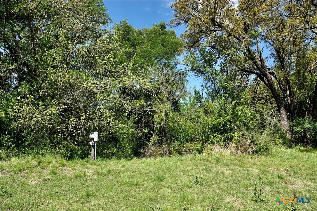 588 County Road 430 Property Photo 24