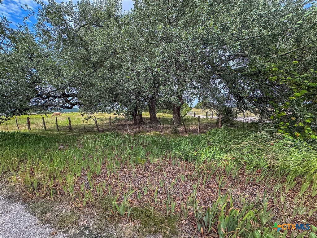 2300 County Road 147 Property Photo 10
