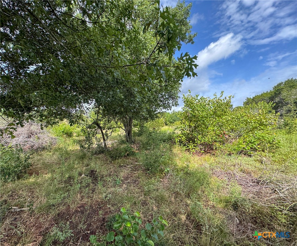 2300 County Road 147 Property Photo 37