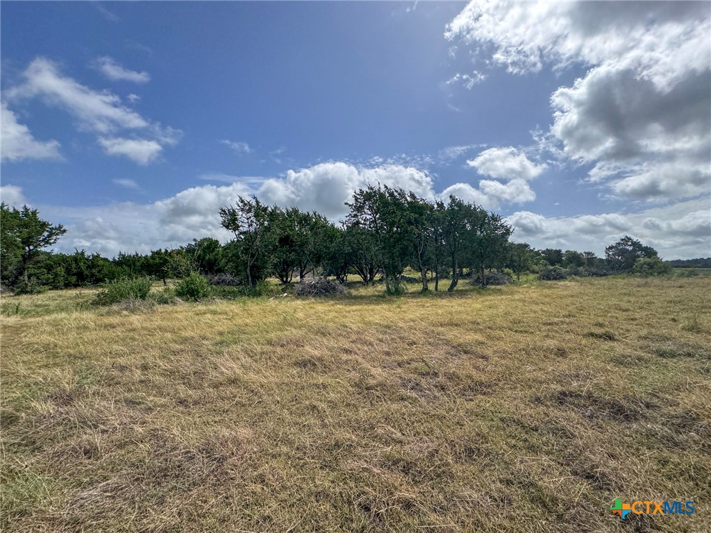 2300 County Road 147 Property Photo 42