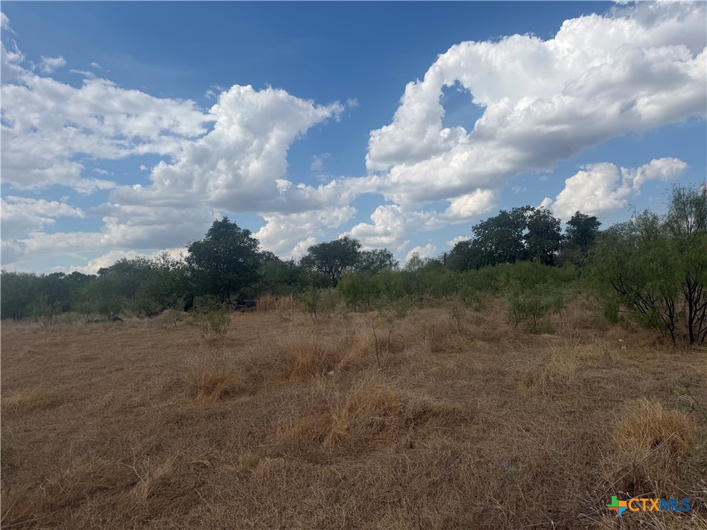 246 Old Waco Road Property Photo 2
