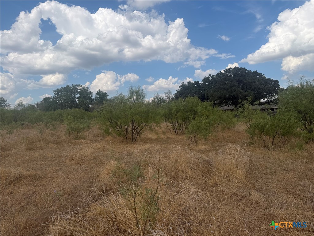 246 Old Waco Road Property Photo 3