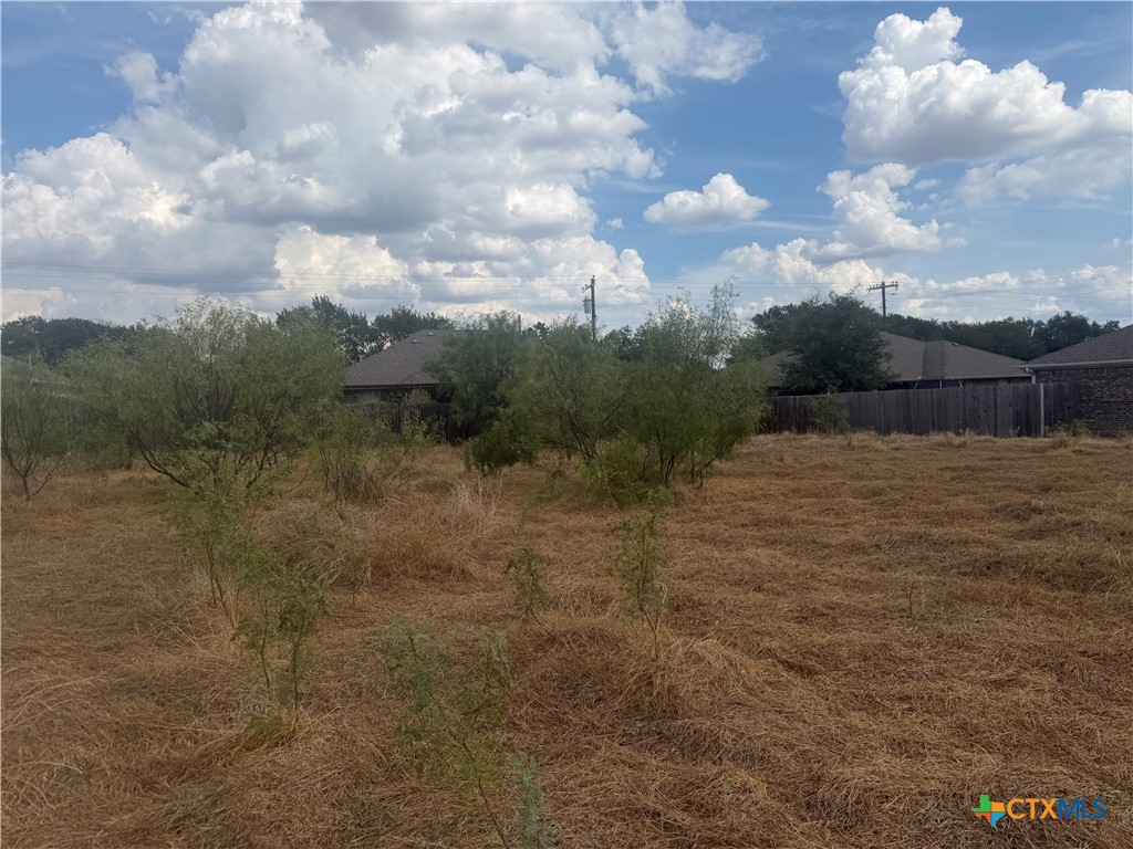 246 Old Waco Road Property Photo 5