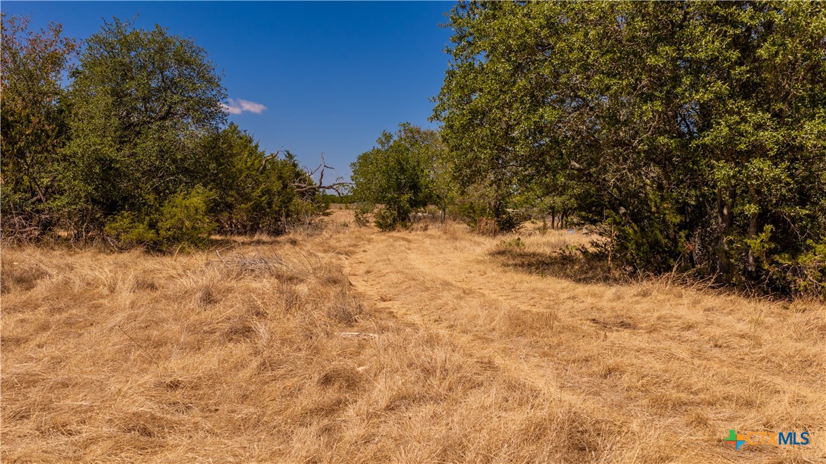 00 County Road 2644 Property Photo 4