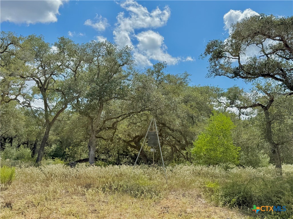 4668 Old Hwy Rd Property Photo 12