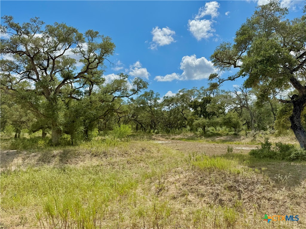 4668 Old Hwy Rd Property Photo 16