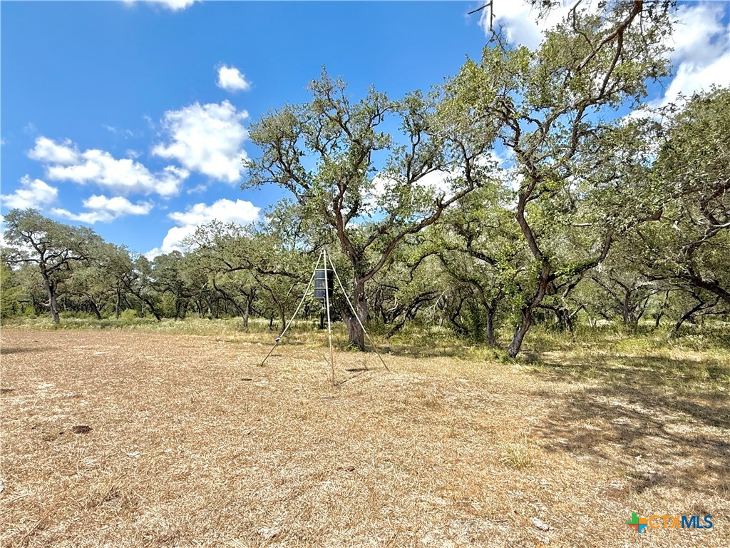 4668 Old Hwy Rd Property Photo 22
