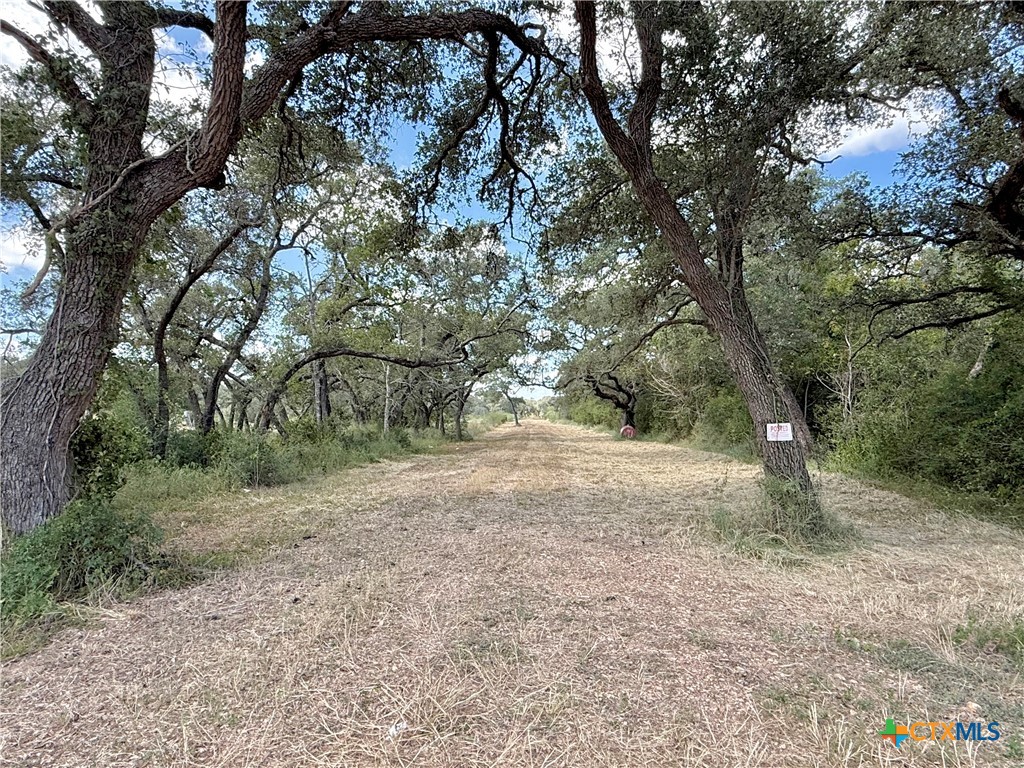 4668 Old Hwy Rd Property Photo 3