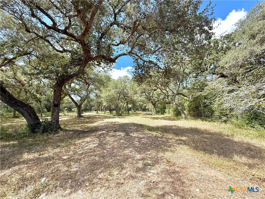 4668 Old Hwy Rd Property Photo 4