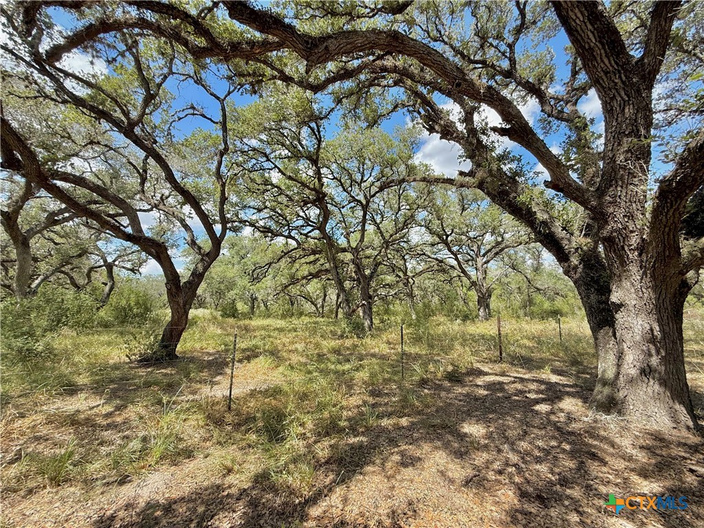 4668 Old Hwy Rd Property Photo 10