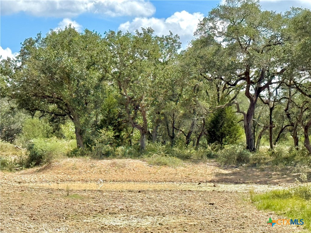 4668 Old Hwy Rd Property Photo 13