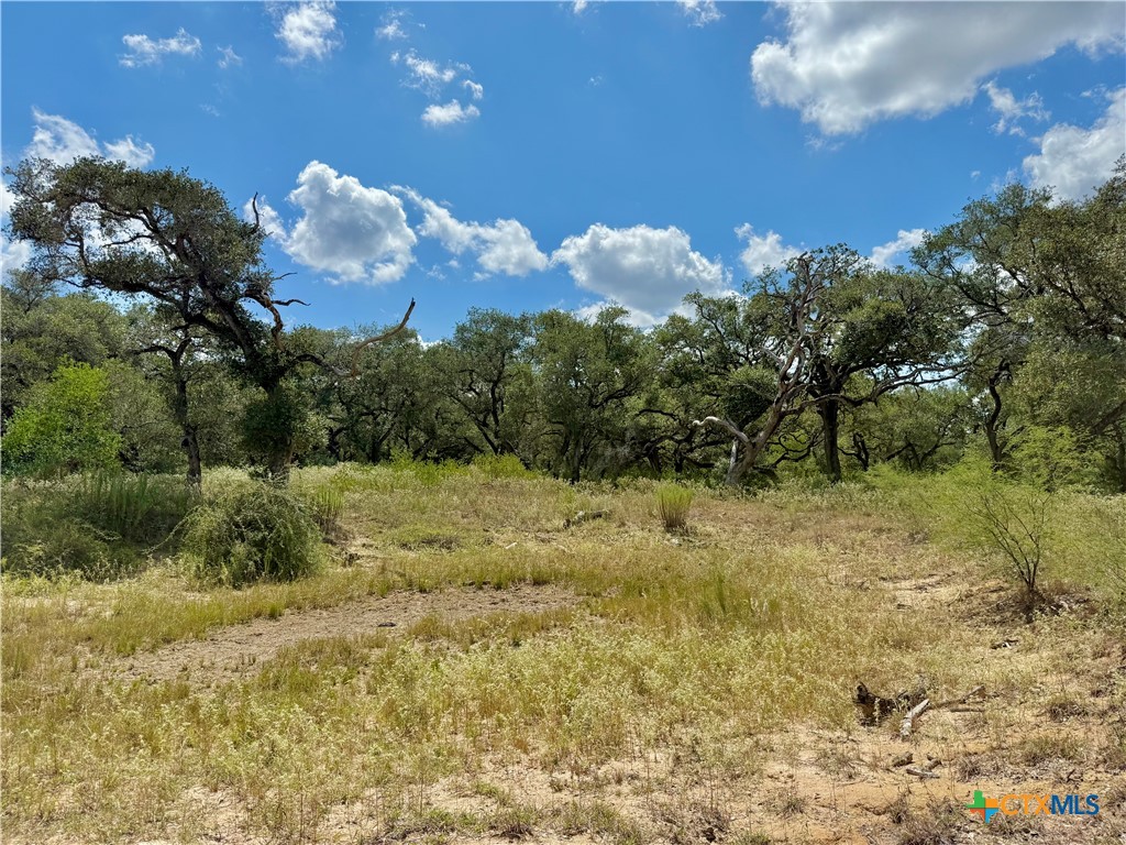 4668 Old Hwy Rd Property Photo 15
