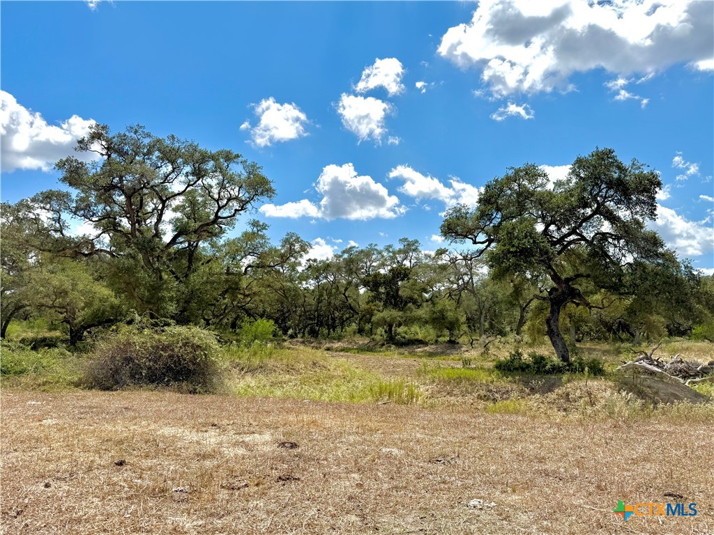 4668 Old Hwy Rd Property Photo 17