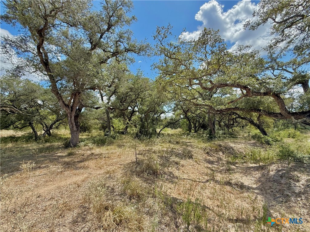 4668 Old Hwy Rd Property Photo 18