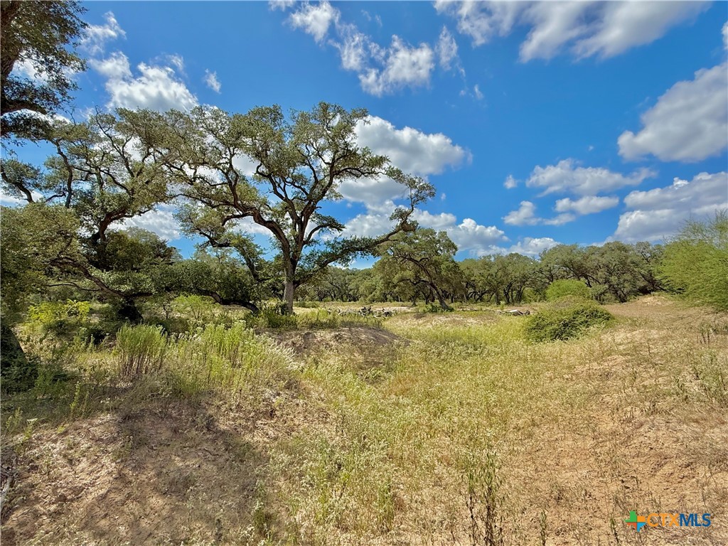 4668 Old Hwy Rd Property Photo 19