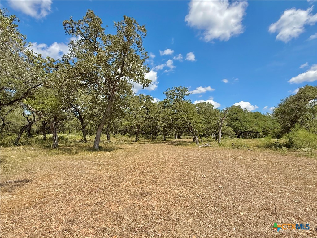 4668 Old Hwy Rd Property Photo 23