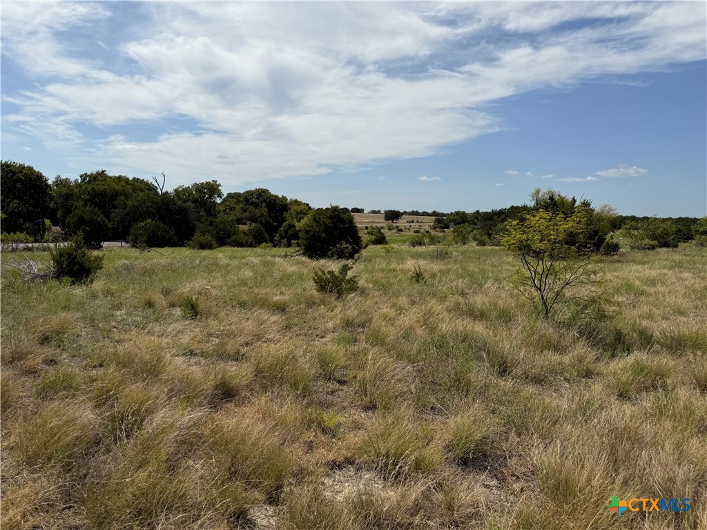 TBD FM 1241 Property Photo 1