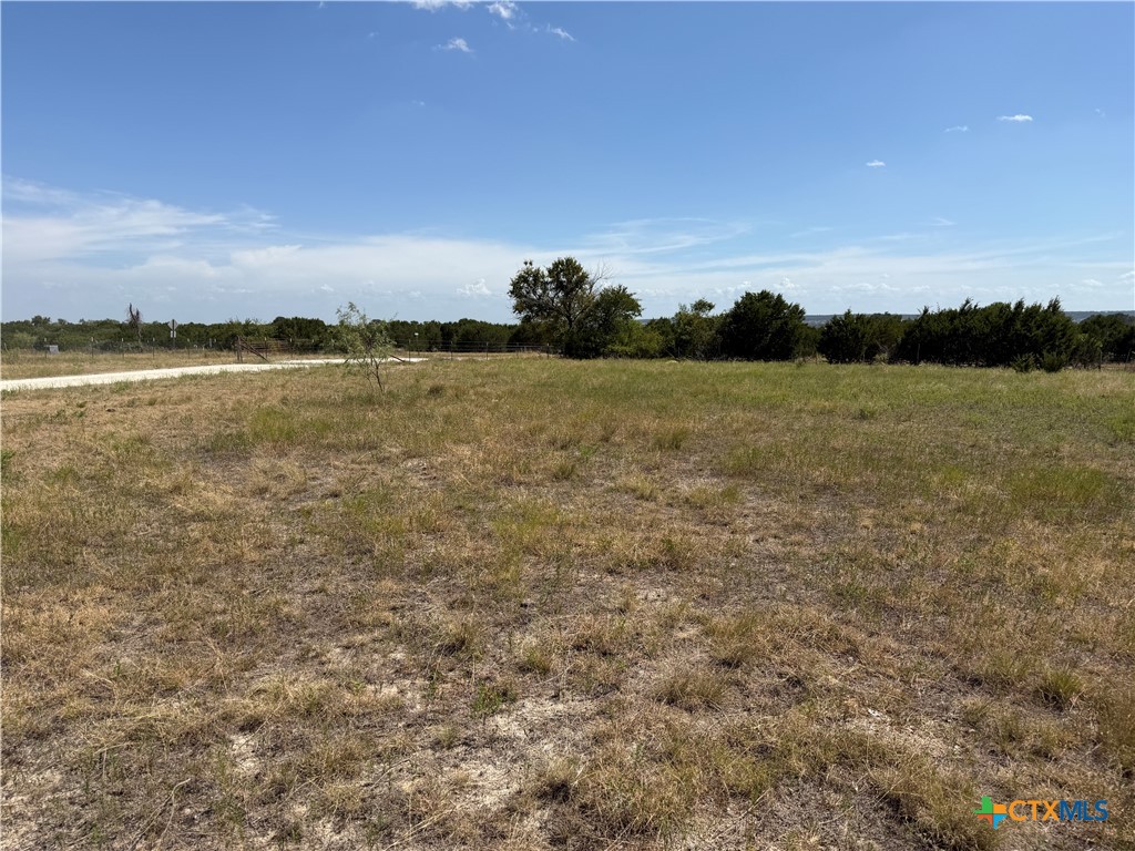 Tbd Fm 1241 Property Photo 2