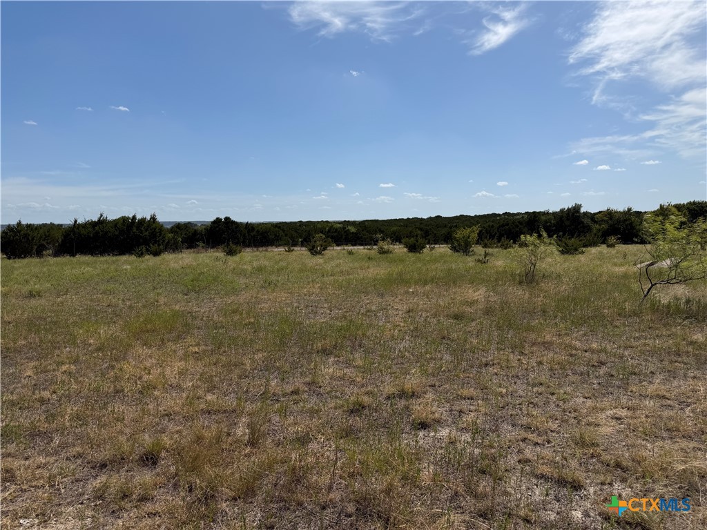 Tbd Fm 1241 Property Photo 3