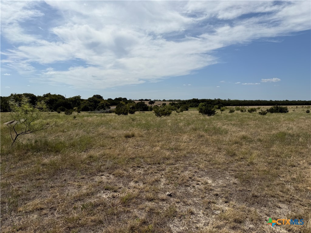 Tbd Fm 1241 Property Photo 4