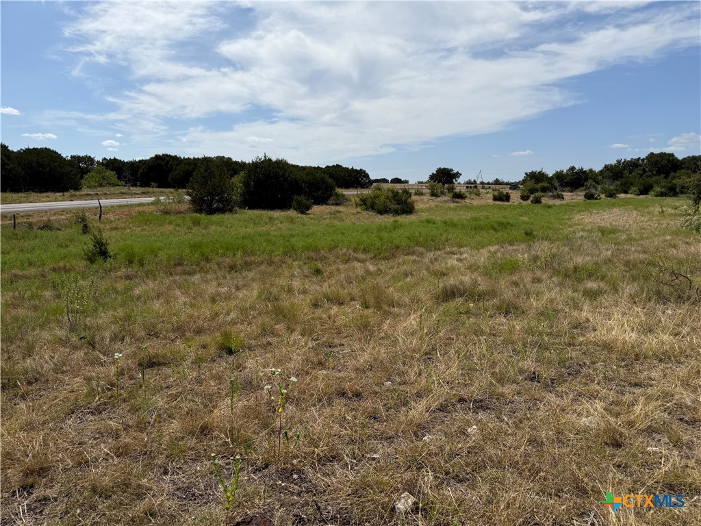 Tbd Fm 1241 Property Photo 5