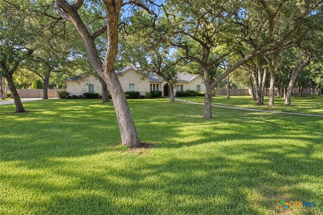 11408 Somerville Drive Property Photo 4