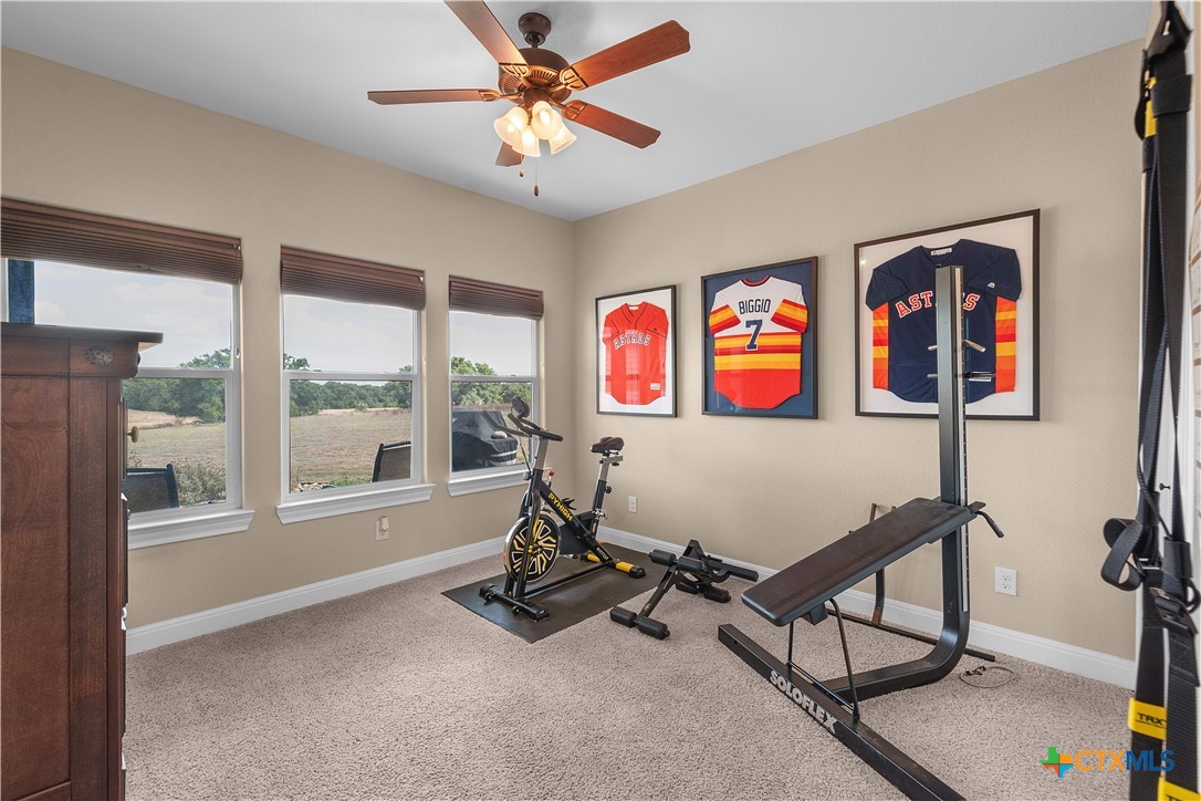 169 Blackbuck Ridge Drive Property Photo 16