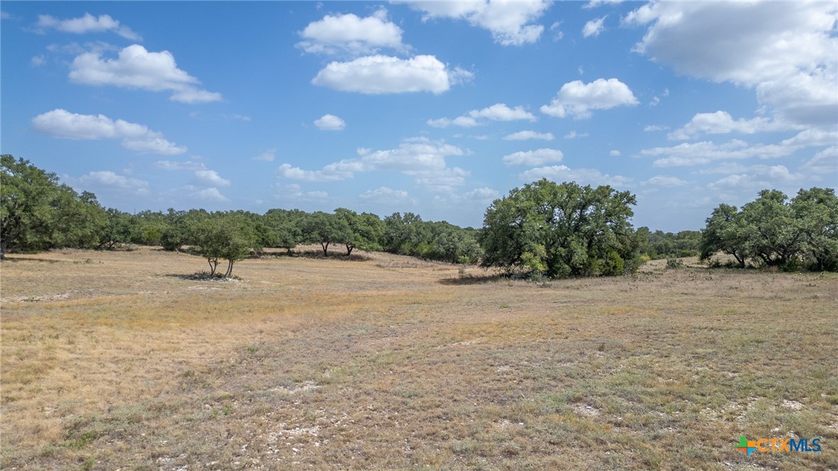 169 Blackbuck Ridge Drive Property Photo 27