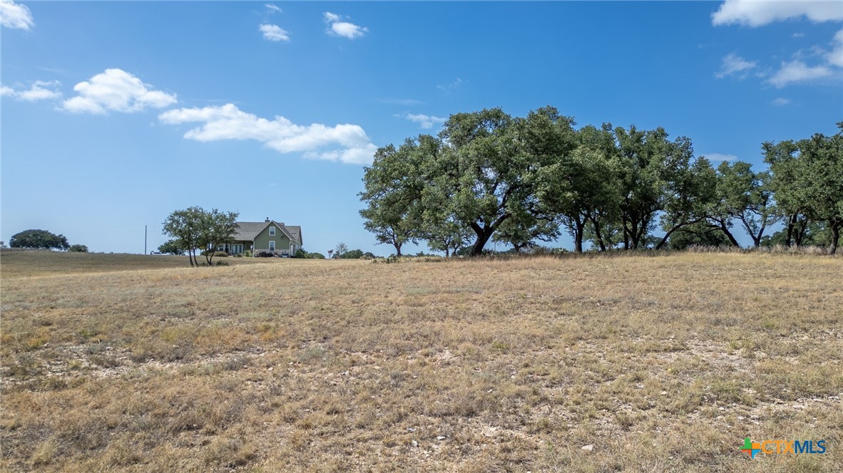 169 Blackbuck Ridge Drive Property Photo 30