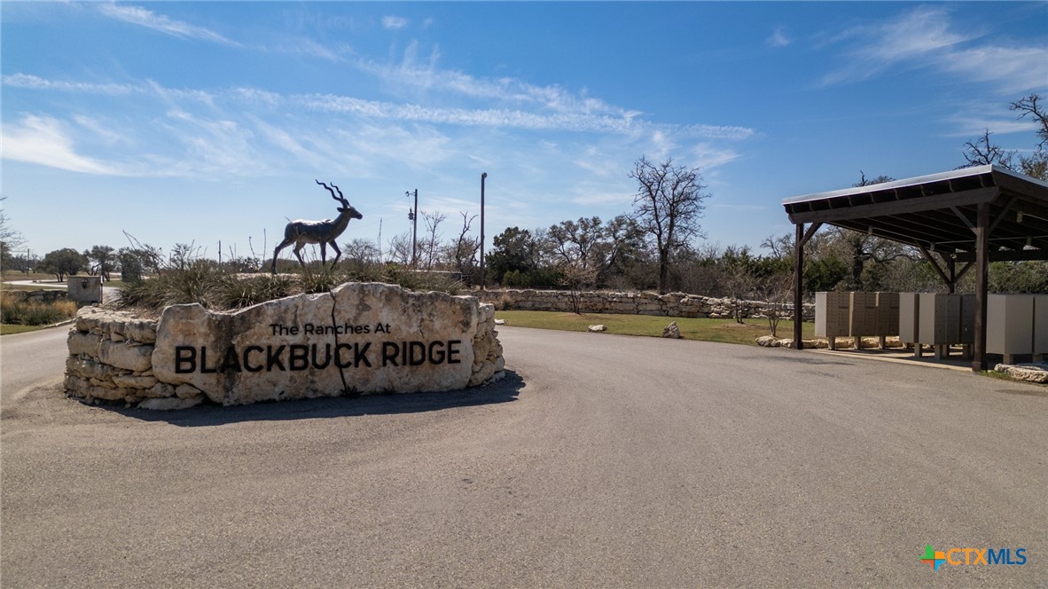 169 Blackbuck Ridge Drive Property Photo 37