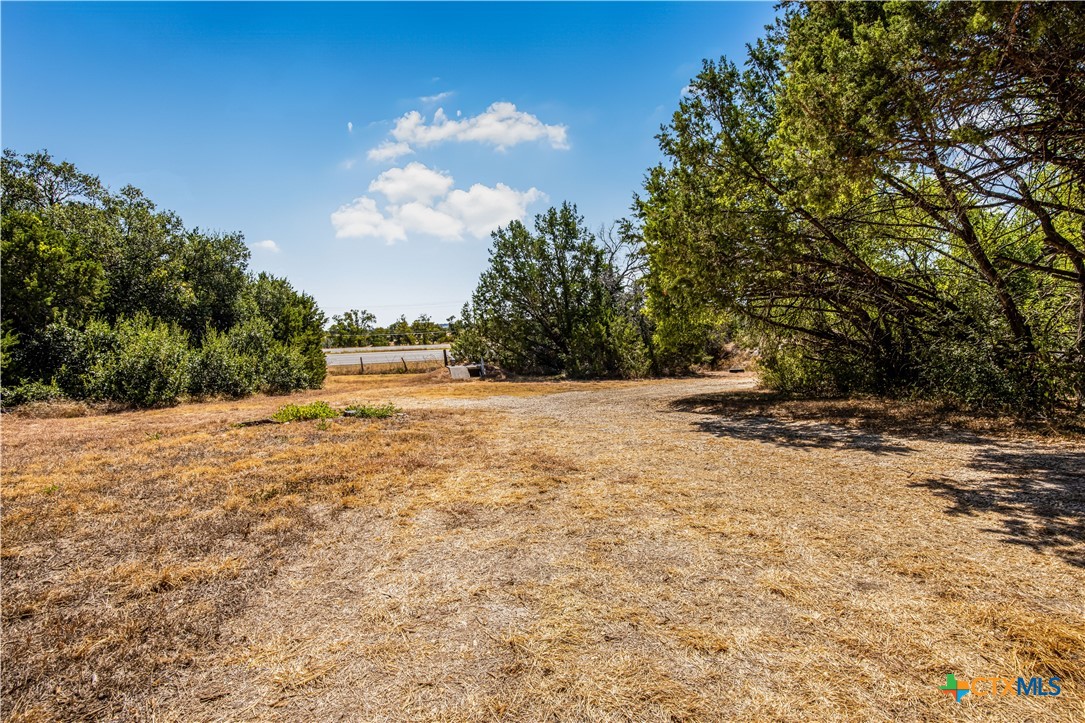 625389 Property Photo 6