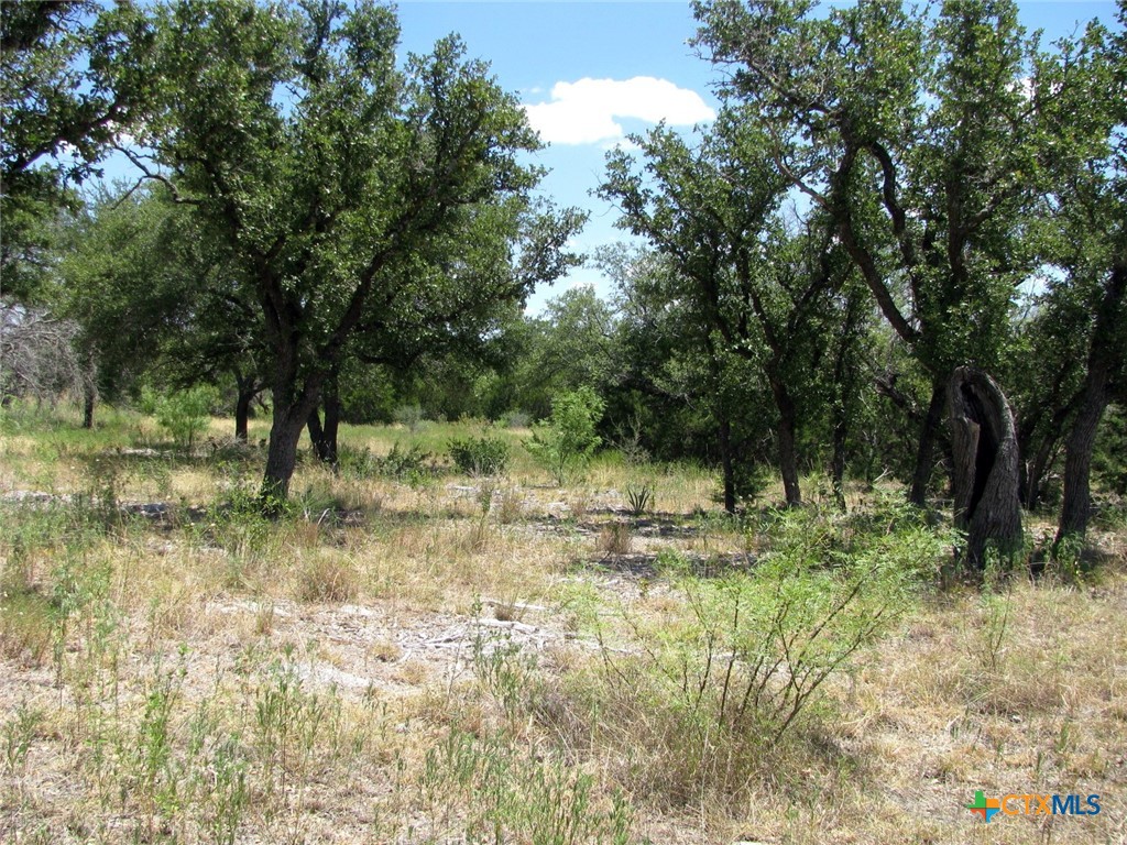 TBD-Lot 23 Ph 1 PR 4218 Property Photo 1