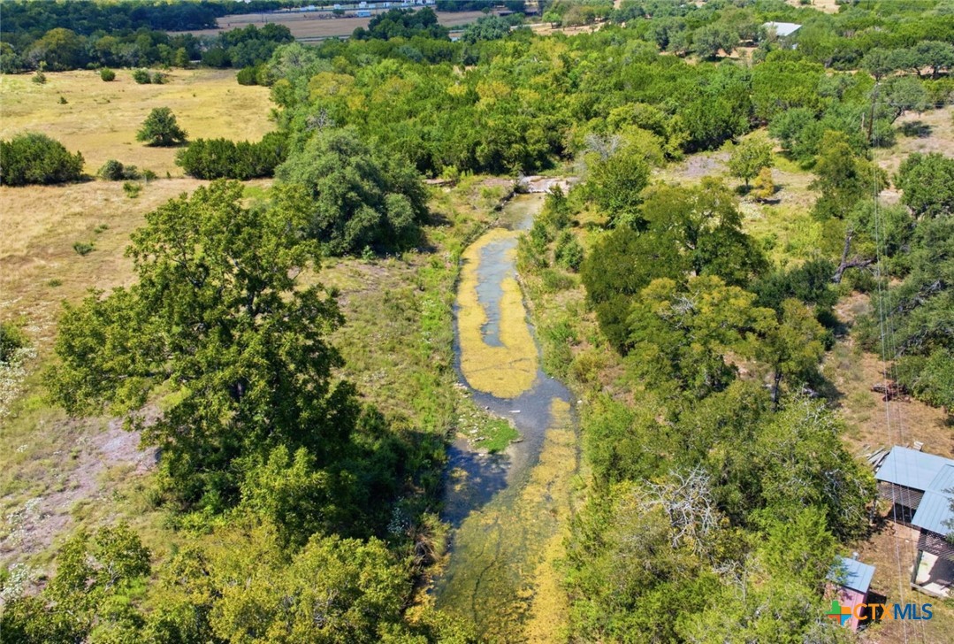14440 Nutty Brown Road Property Photo 34