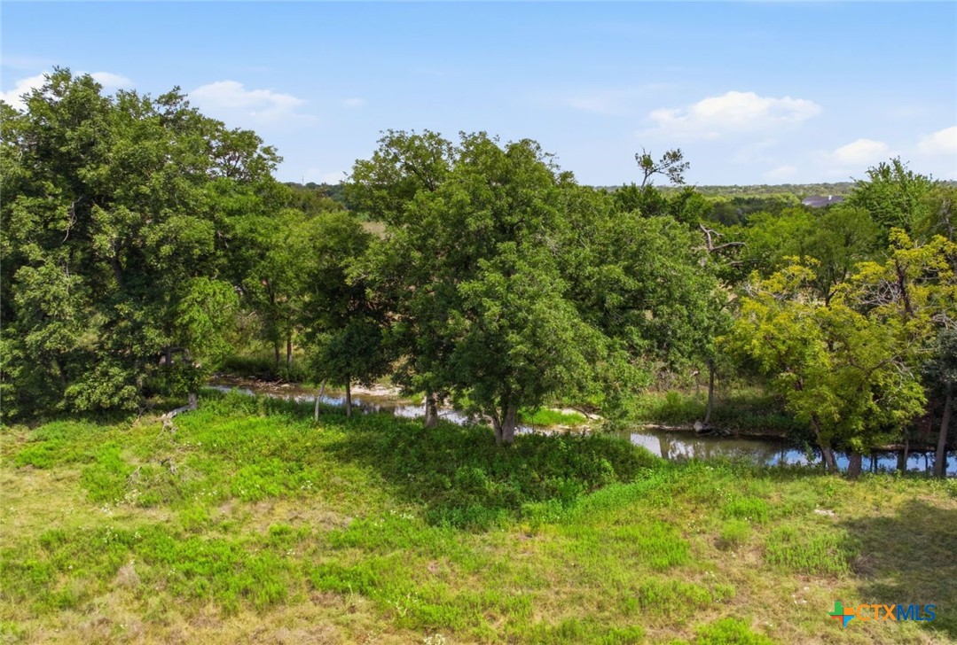 14440 Nutty Brown Road Property Photo 37