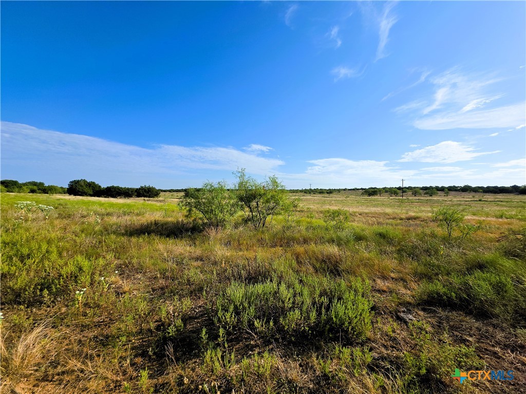 Tbd Lot 135 Ph 2 Waggener Ranch Road Property Photo 2