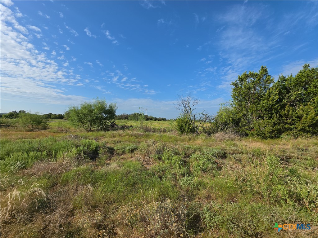 Tbd Lot 135 Ph 2 Waggener Ranch Road Property Photo 9