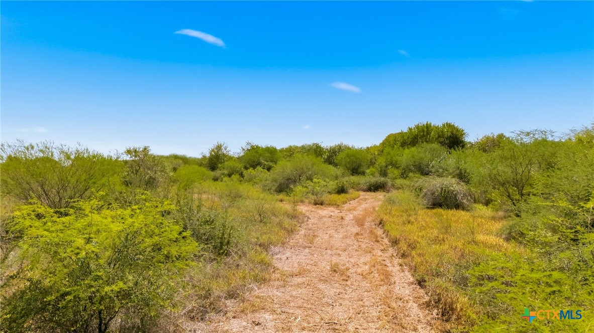 2904 Us Highway 59 Property Photo 10