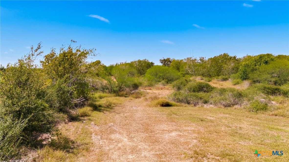 2904 Us Highway 59 Property Photo 17