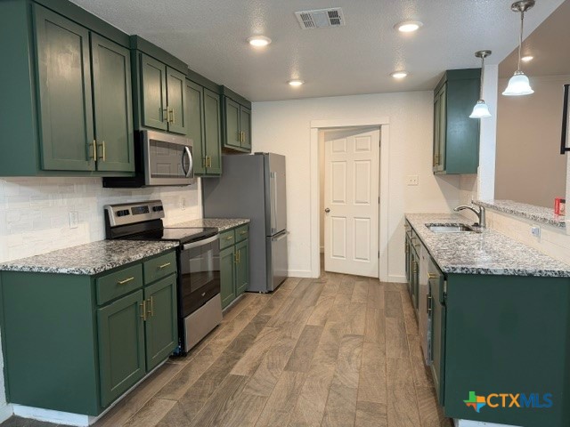 1618 Sideoats Lane Property Photo 2
