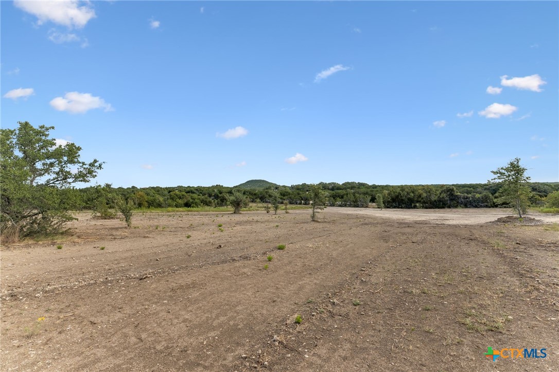 Tbd Fm 2484 Property Photo 12