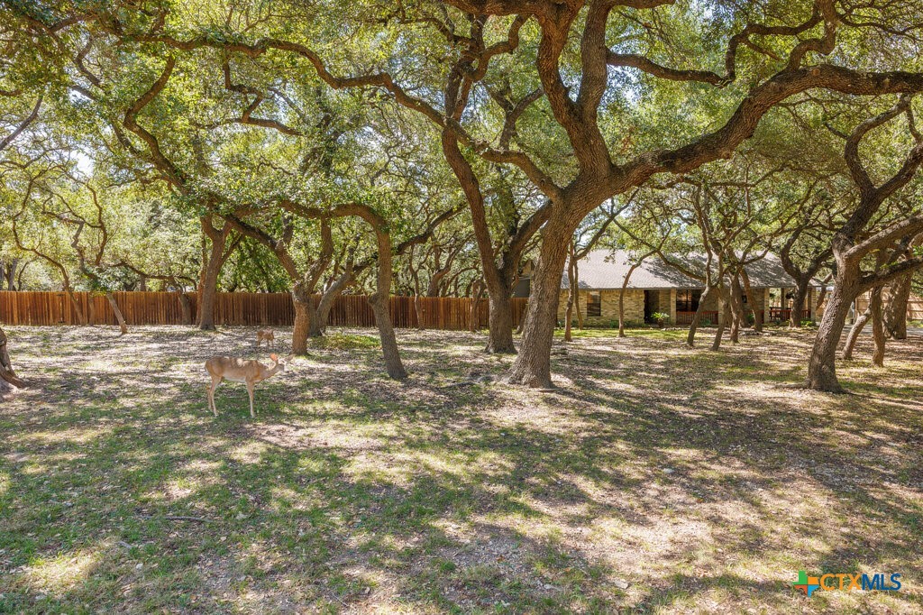 112 Golden Morn Property Photo 46