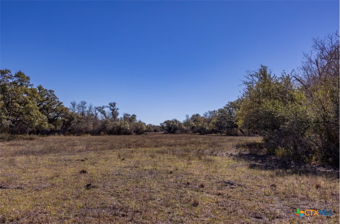 0000 County Road 284 Property Photo 10