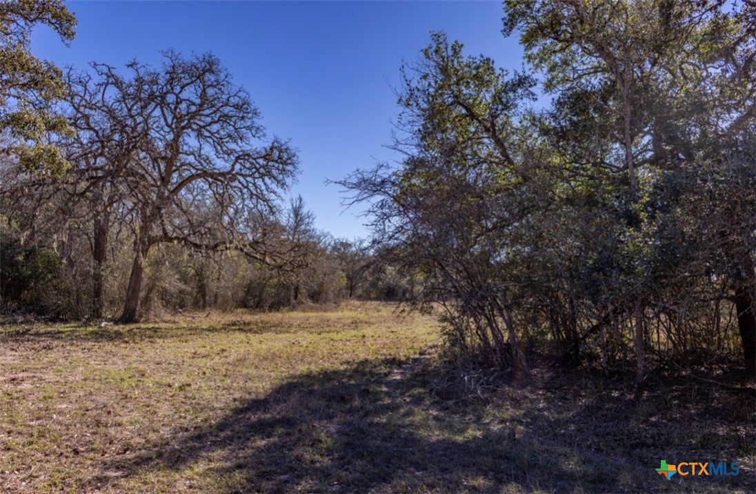 0000 County Road 284 Property Photo 11