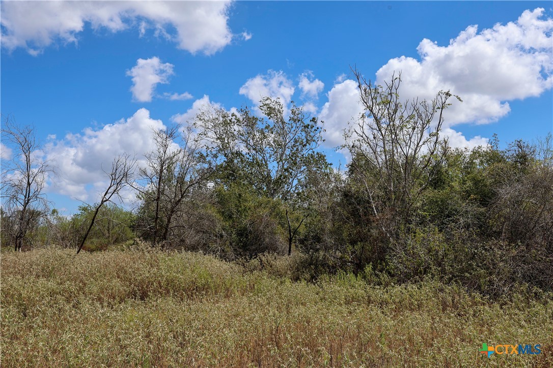 TBD Parsons Road Property Photo 1