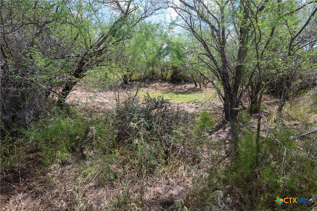 Tbd Parsons Road Property Photo 13