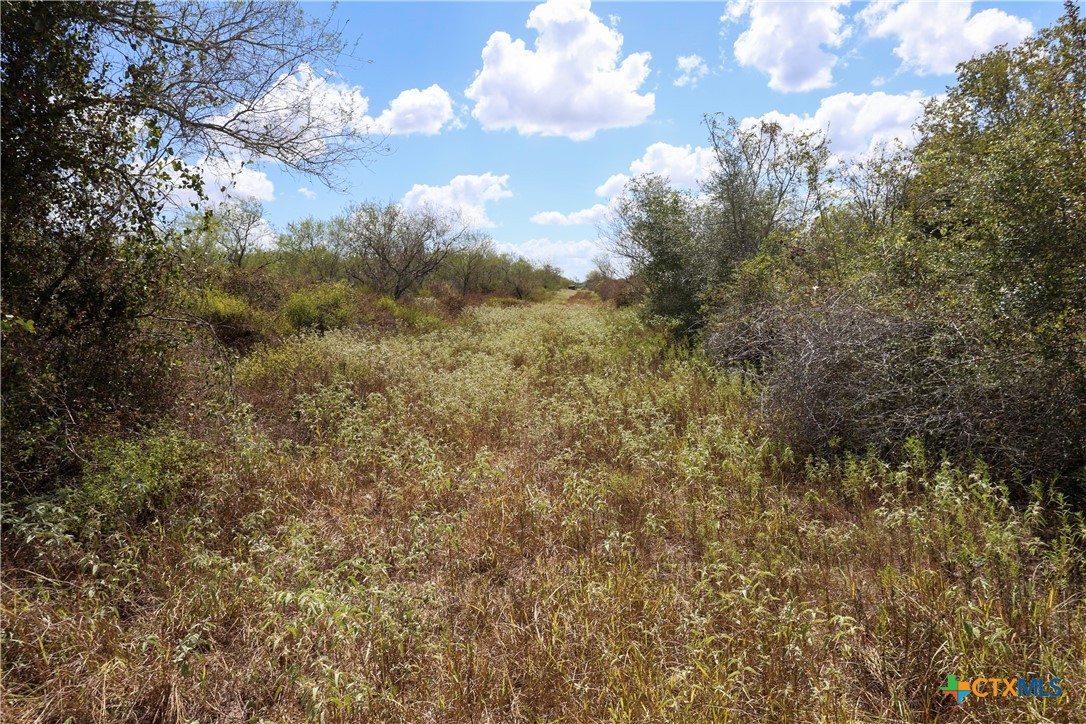Tbd Parsons Road Property Photo 23