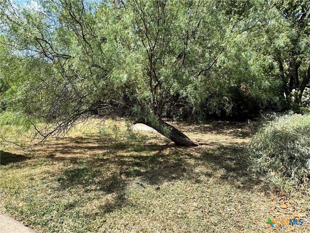 1505 N W S Young Drive Property Photo 4