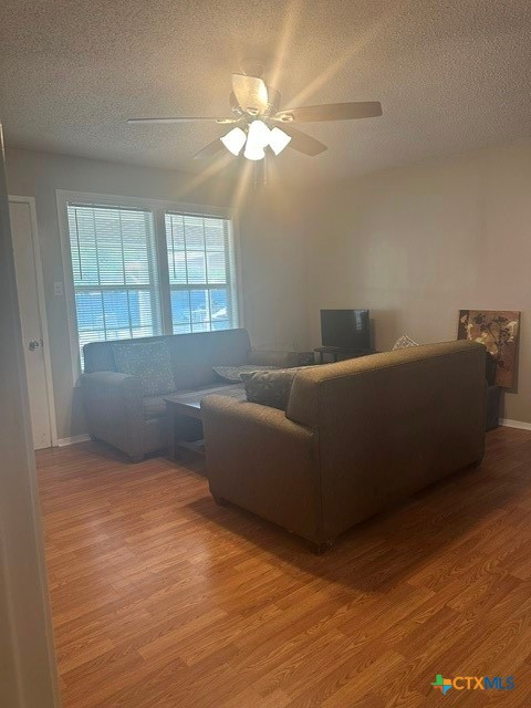 2908 Cedar Street Property Photo 5