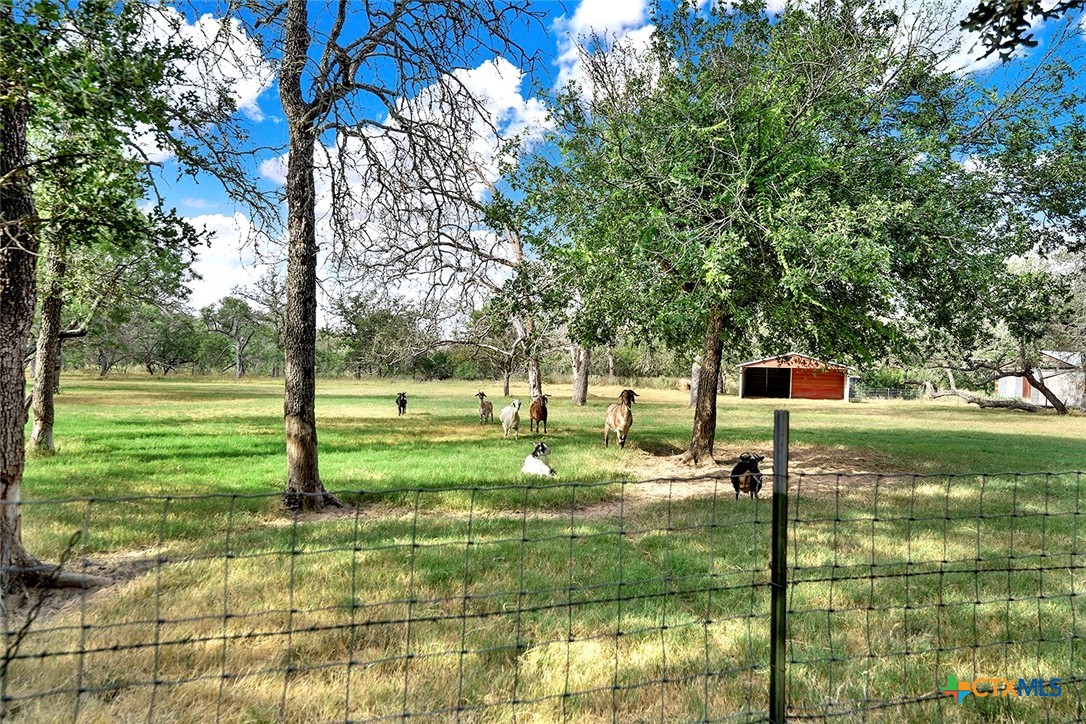 1021 Fm 3432 Property Photo 16